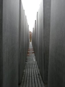 n534349326_596184_8801