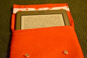 DSC_0088 (2)a 400x267