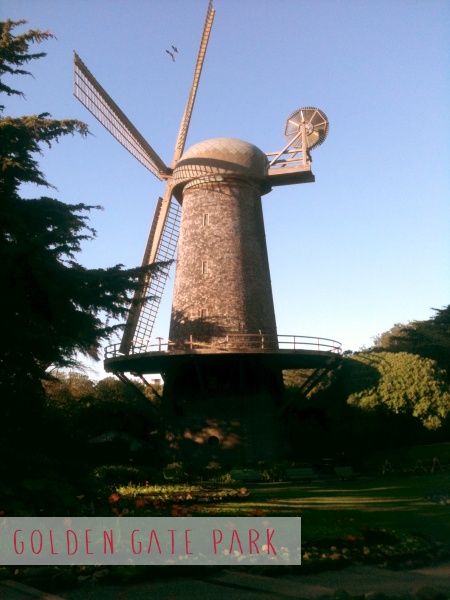 The Dutch Windmill surrounded by the Queen Wilhelmina Tulip Garden, Golden Gate Park, SF.