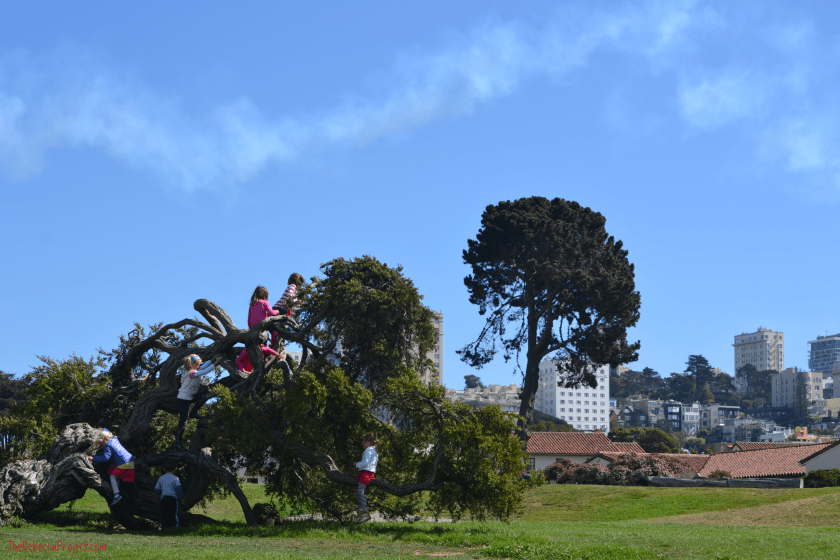 2012 October SF 116a