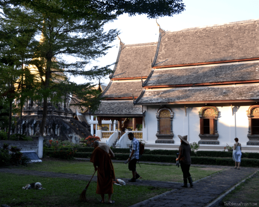 Chores and tourists.