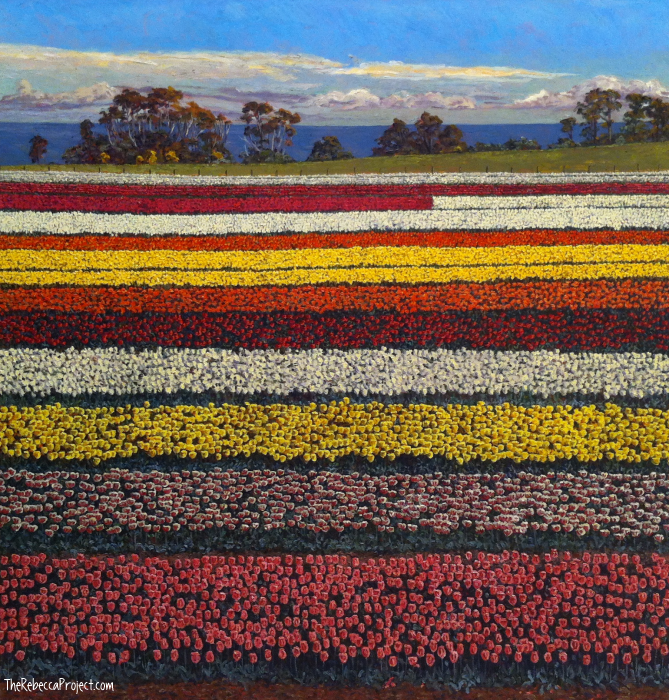 Lucy Culliton, 'Table Cape'